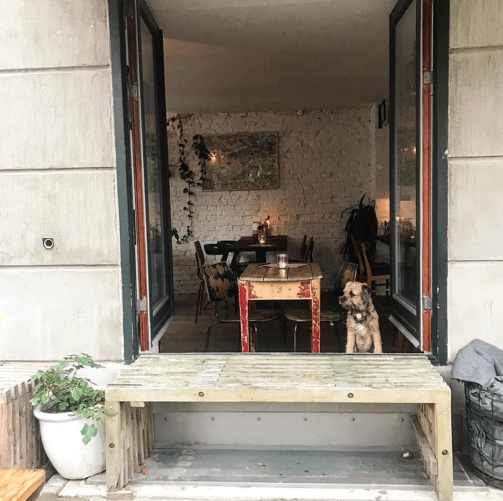 Motley case study about concept development and restaurant operations